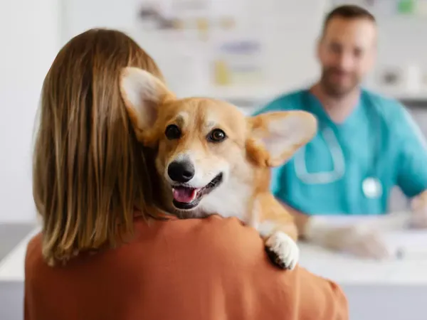 Médica atendiendo a un paciente durante una consulta de salud ASISA