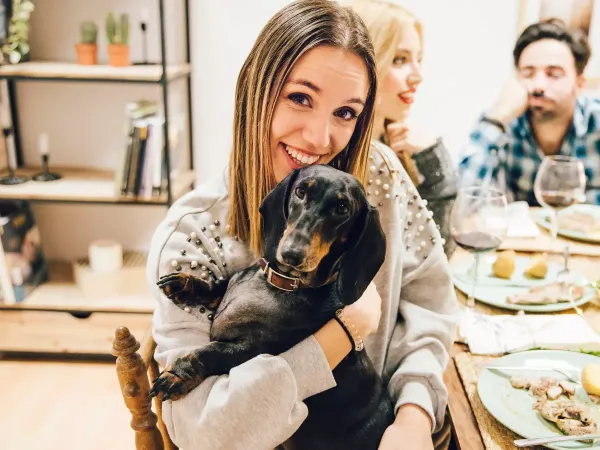 Conoce qué coberturas y servicios debes revisar al elegir un seguro para tu mascota.